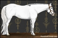 Horse Color:Silver Amber Cream Champagne Dun Appaloosa 