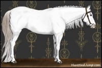Horse Color:Liver Red Dun Sabino Splash Blanket  and Liver Red Dun Sabino Splash Tobiano Blanket 