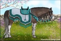 Horse Color:Liver Chestnut Sabino Splash Appaloosa  and Bay Sabino Appaloosa 