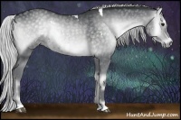 Horse Color:White Spotted Silver Blue Onyx Chinchilla 