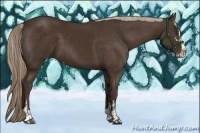 Horse Color:Liver Chestnut Sabino  and Liver Chestnut Sabino 