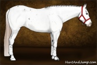 Horse Color:Liver Chestnut Sabino Splash Blanket  and Liver Chestnut Sabino Splash Blanket 