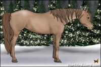 Horse Color:Black Pearl