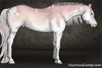 Horse Color:Watercolor White Spotted Silver Sable Champagne Onyx Sabino Splash 