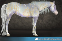 Horse Color:Watercolor White Spotted Silver Sable Champagne Sabino  and Watercolor White Spotted Silver Sable Champagne Onyx 