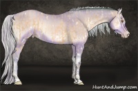 Horse Color:Watercolor White Spotted Silver Sable Champagne Sabino and Watercolor White Spotted Silver Sable Champagne Onyx
