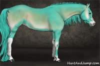 Horse Color:Watercolor Smoky Blue Onyx Rabicano