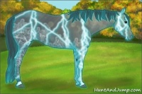 Horse Color:Thunderstruck Black Ice 