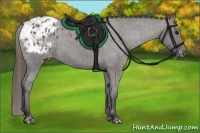 Horse Color:Grullo Varnish 