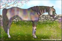 Horse Color:Nacre Smoky Blue Onyx 