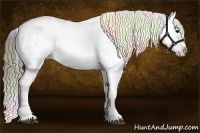 Horse Color:Nacre Bay Dun Sabino Splash Appaloosa 