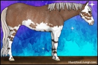 Horse Color:Silver Brown Splash Rabicano