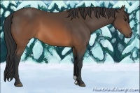 Horse Color:Brown 