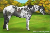 Horse Color:Smoky Black Ice Tobiano