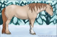 Horse Color:Smoky Black Pearl 