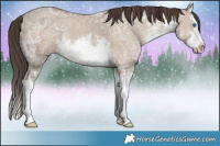 Horse Color:White Spotted Classic Champagne Ice Dun Splash 