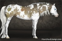 Horse Color:White Spotted Liver Red Dun Splash 