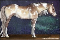Horse Color:White Spotted Chocolate Silver Bay Onyx Sabino