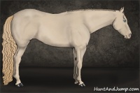 Horse Color:Chocolate Smoky Creme Roan 