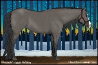Horse Color:Grullo Splash 