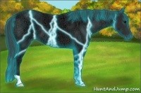 Horse Color:Thunderstruck Black Ice 