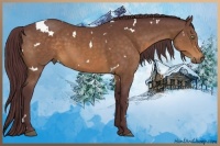 Horse Color:White Spotted Chocolate Buckskin 