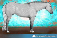 Horse Color:Silver Grullo Chinchilla 