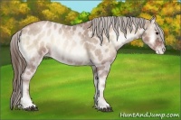 Horse Color:Blue Onyx Roan Pearl Appaloosa 