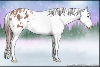 Horse Color:White Spotted Bay Roan Snowflake Varnish 