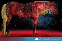 Horse Color:ERROR: UNKNOWN ANOMALY and ERROR: UNKNOWN ANOMALY