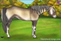Horse Color:Chocolate Palomino Onyx Sabino Rabicano
