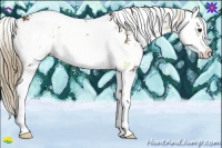 Horse Color:Red Onyx Sabino Splash 