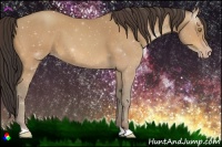 Horse Color:Amber Champagne 