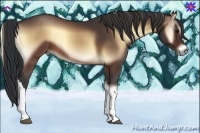 Horse Color:Brown Onyx 