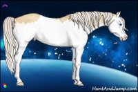 Horse Color:Silver Amber Champagne Dun Splash 