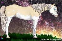 Horse Color:Silver Amber Champagne Dun Splash Frame 
