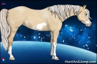 Horse Color:Silver Classic Champagne Dun Splash Frame 