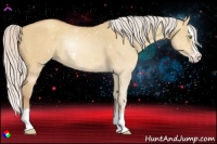 Horse Color:Silver Amber Champagne Dun Splash 