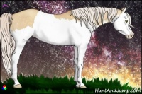 Horse Color:Silver Classic Champagne Dun Splash 