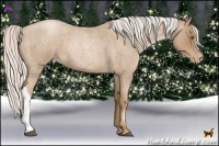 Horse Color:Silver Blue Roan Pearl 