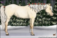Horse Color:Silver Bay Roan Pearl Dun Sabino Rabicano