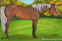 Horse Color:Silver Brown 