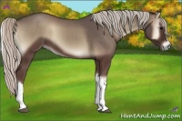 Horse Color:Silver Blue Onyx 