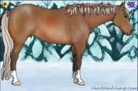 Horse Color:Silver Bay 