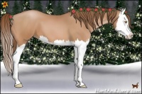 Horse Color:Bay Pearl Splash 