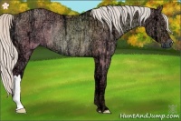 Horse Color:Silver Bay Ice Dun Rabicano 