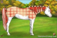 Horse Color:Plaid  Gold Champagne Splash 