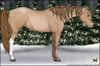 Horse Color:Brown Pearl Rabicano