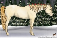 Horse Color:Gold Champagne Pearl Dun