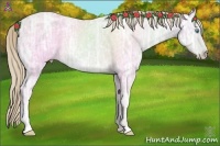Horse Color:Perlino Ice Roan